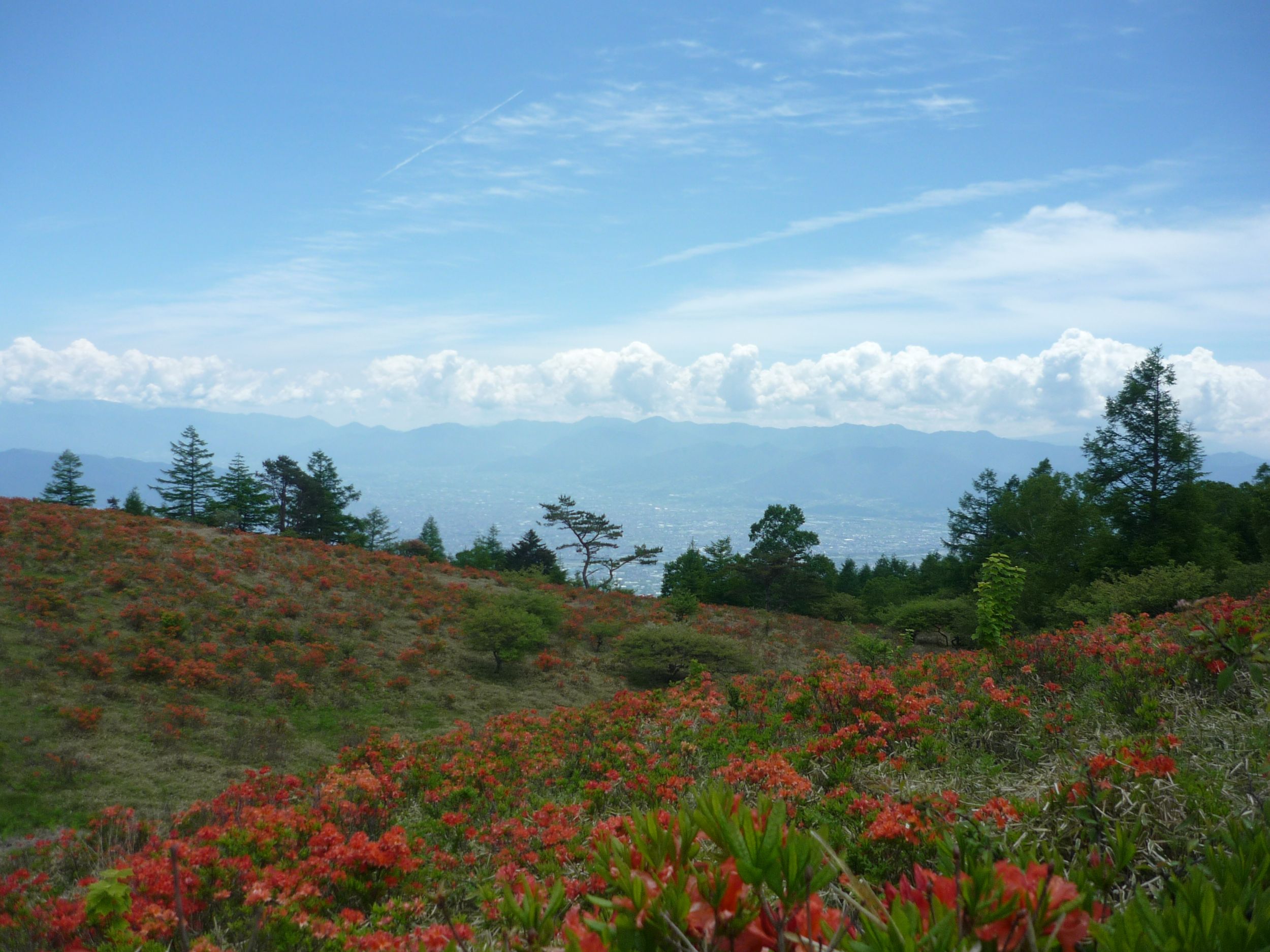 風景.JPG